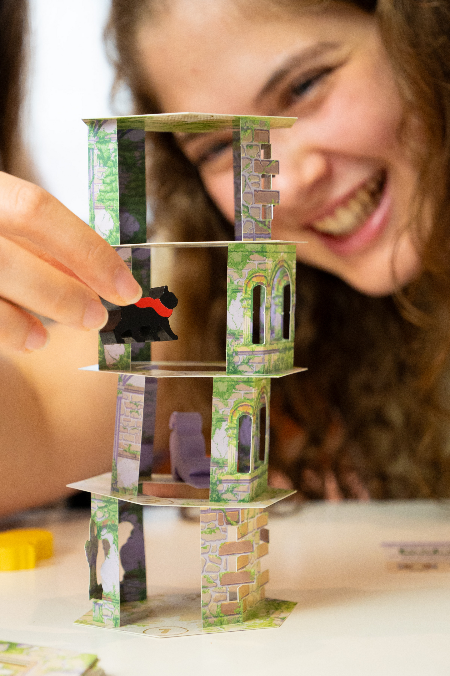 TRG Games Cat And The Tower