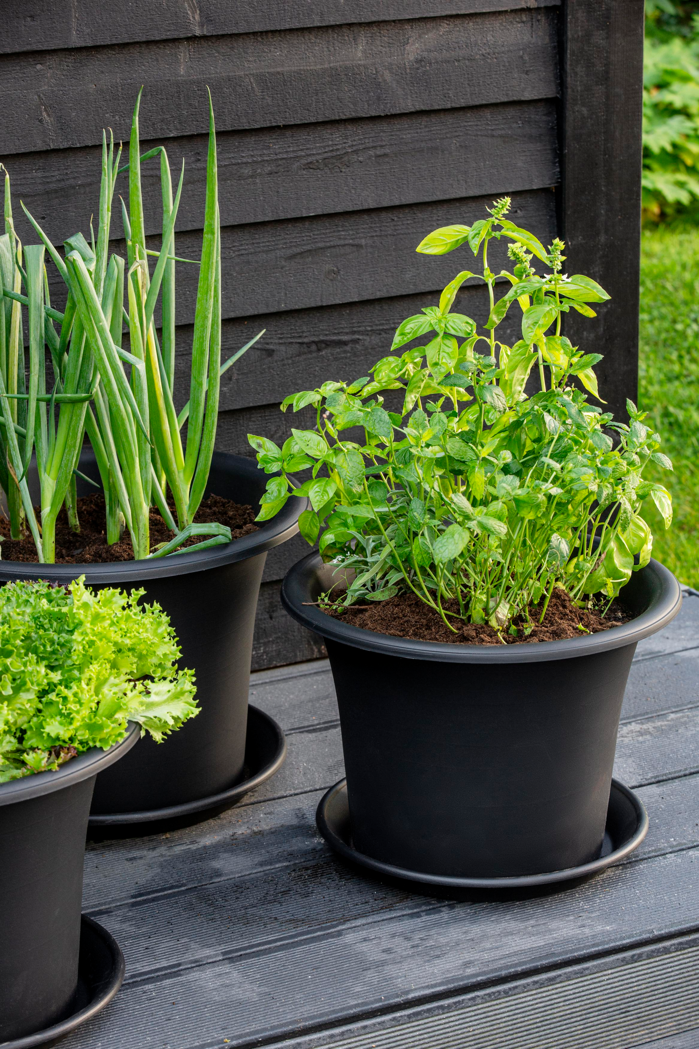 Orthex Botanica ruukku 40 cm