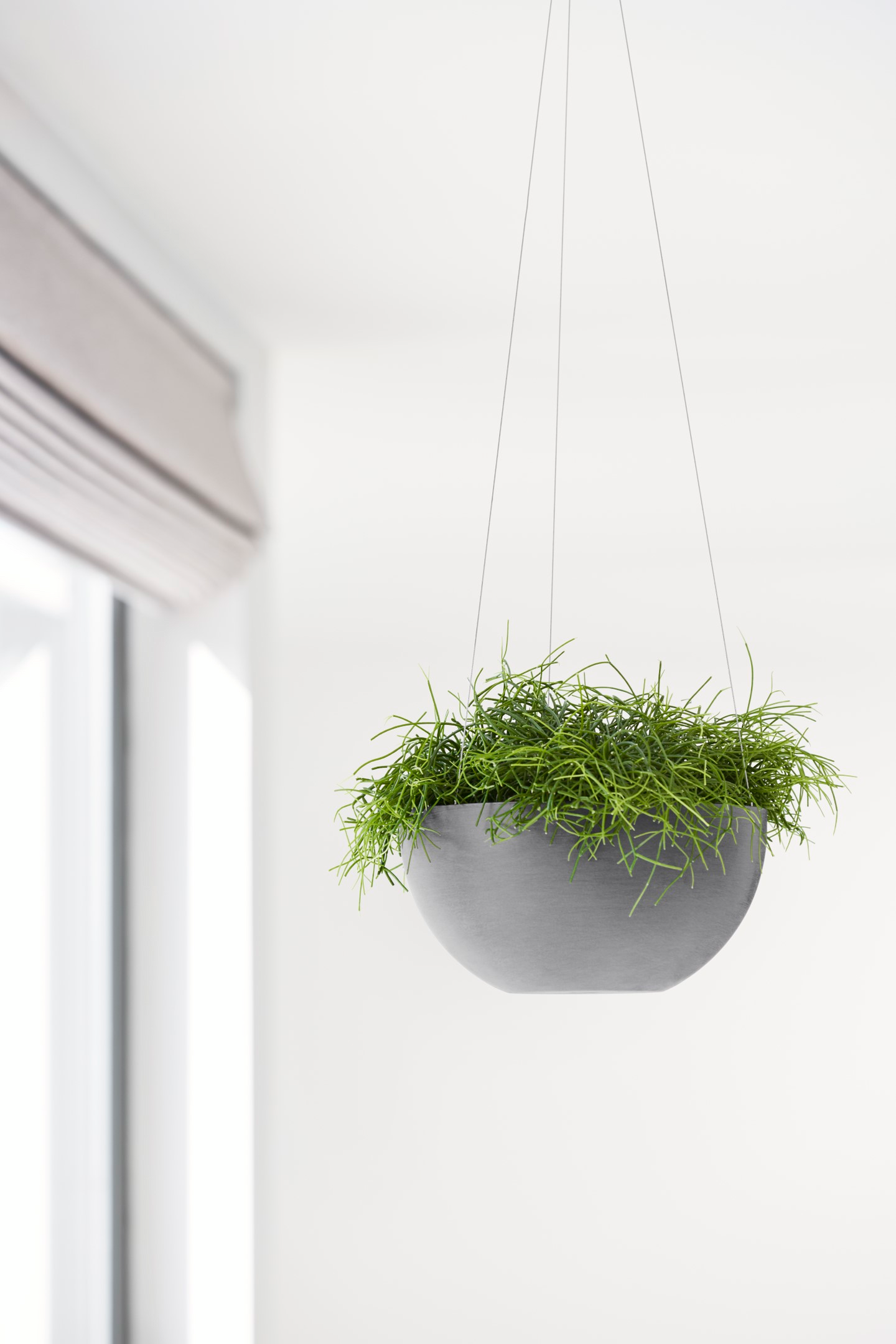 Ecopots Brysseli amppeli 27 cm harmaa