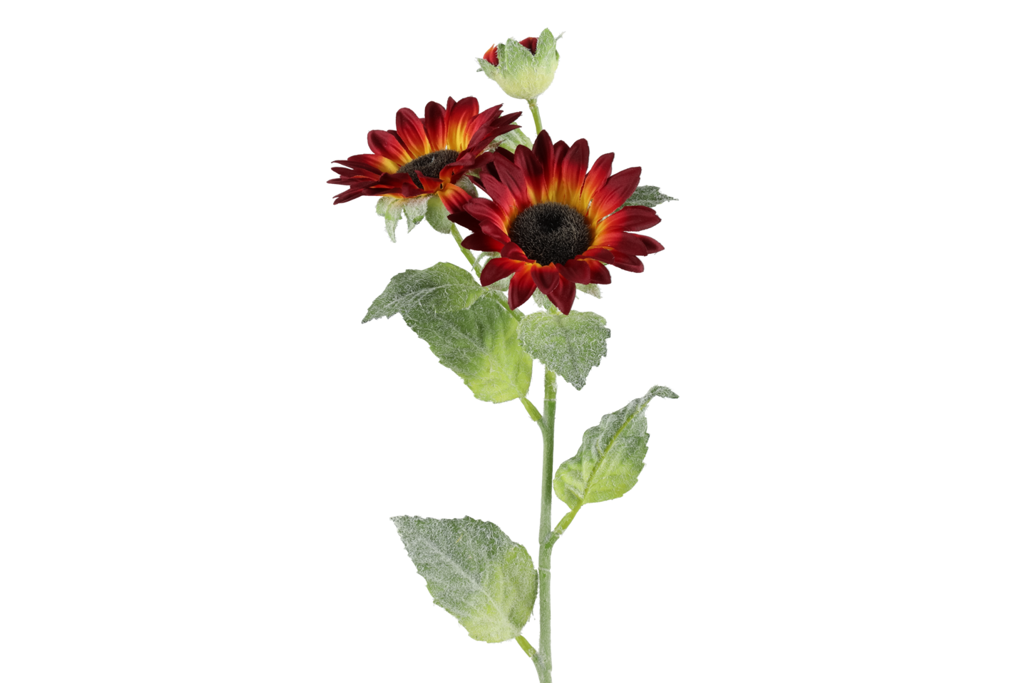 4Living Auringonkukka 62 cm lajitelma