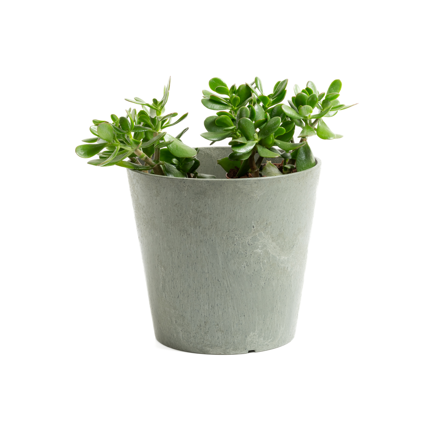 Multyhome Octavia ruukku 30 cm