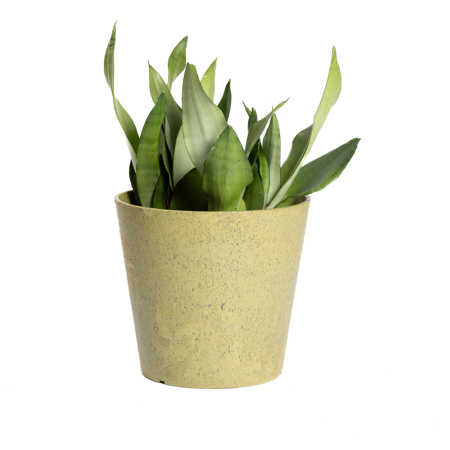 Multyhome Octavia ruukku 30 cm