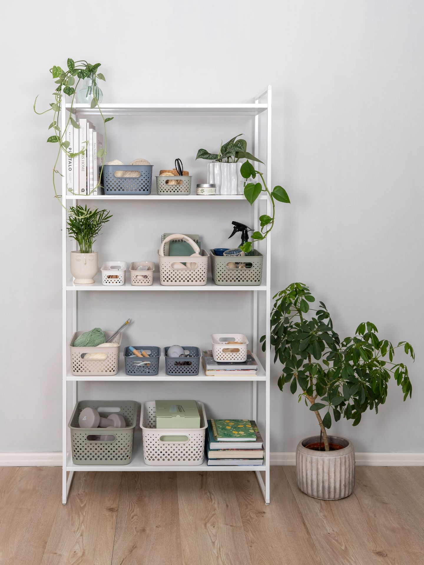 SmartStore Essence säilytyskori L