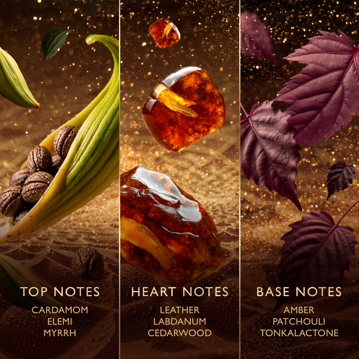 Jawhara Amberwood Nomad EdP 100ml