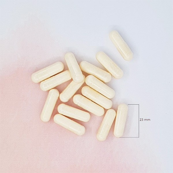 Terveyskaista Hehku Kollageeni & Biotiini 120 kaps