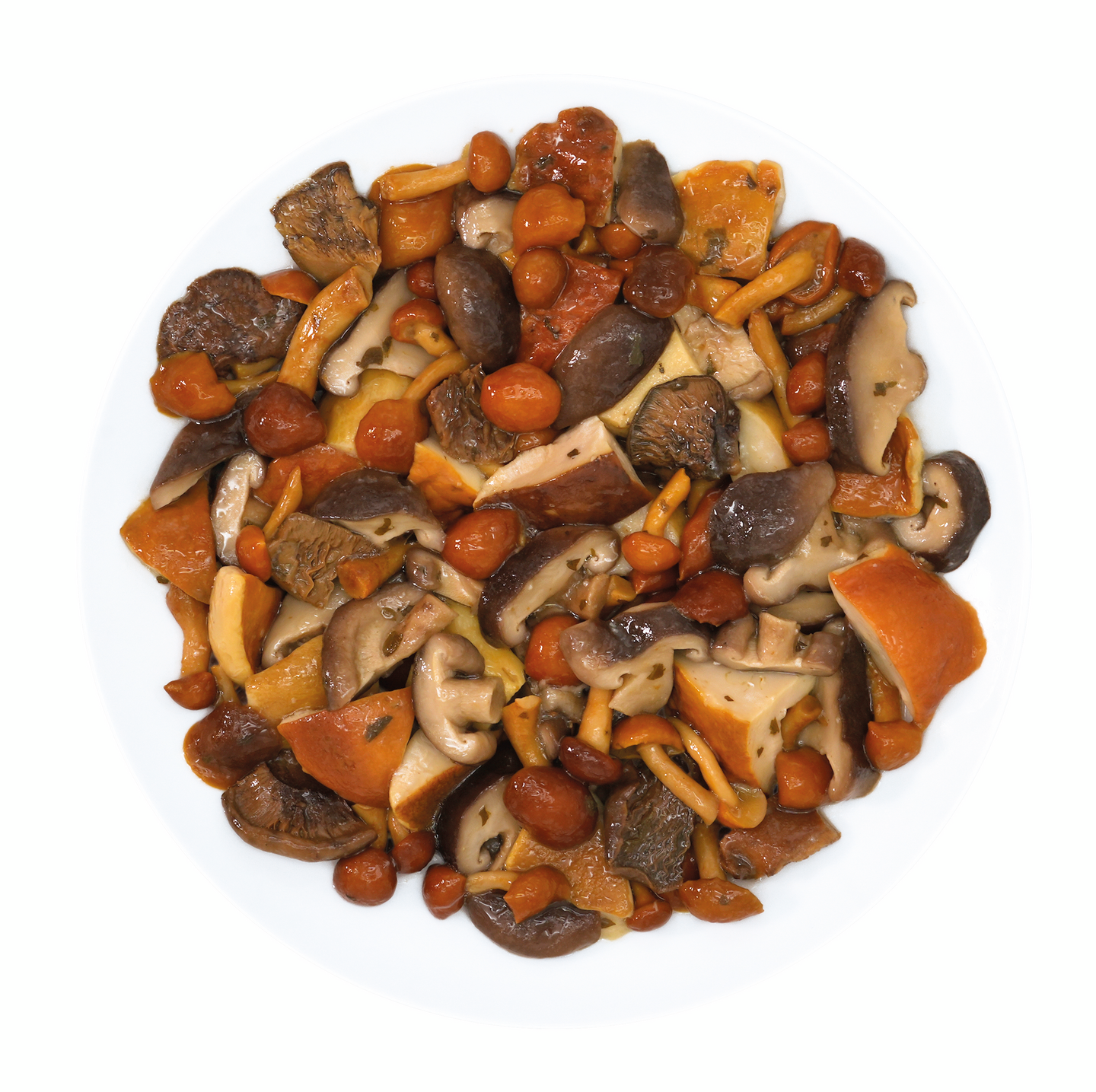 Alfichef sienilajitelma Misto Bosco 1000g säilykepussi