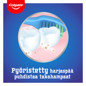 Colgate hammasharja 6+ vuotta