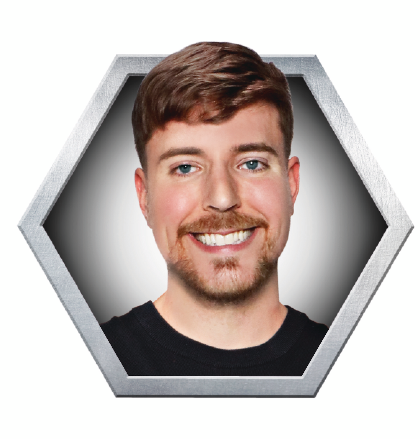 MrBeast Lab Swarms Fusion -hahmo 3 kpl