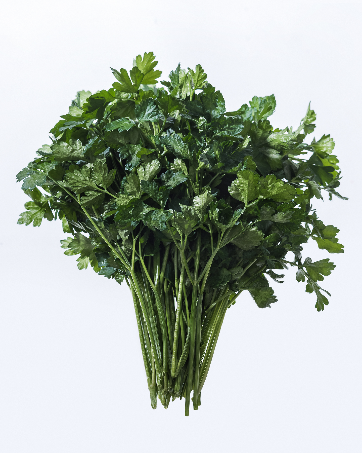 Lehtipersilja puntti 100g