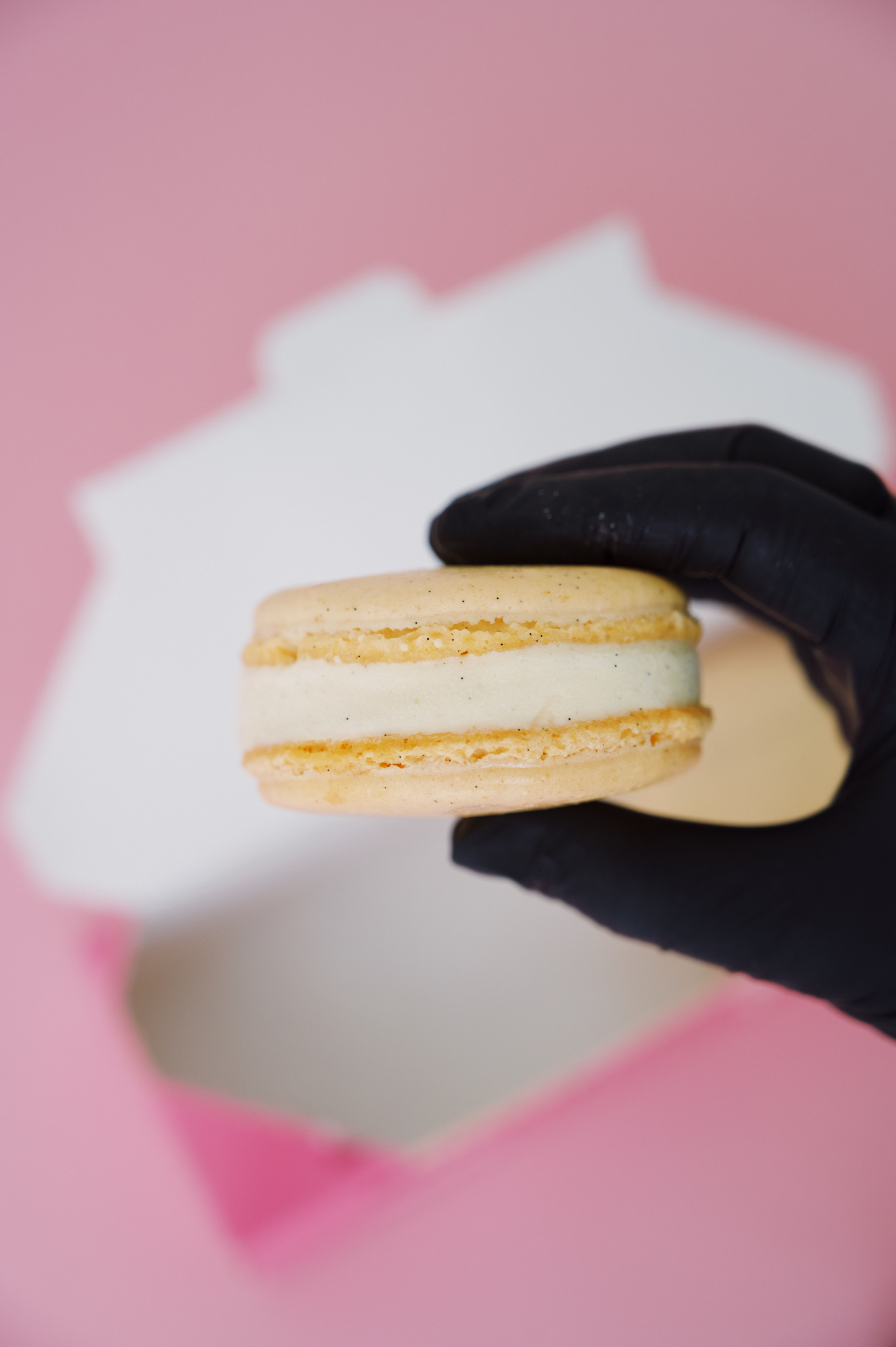 Siili Macaron-jäätelö vanilja 130g