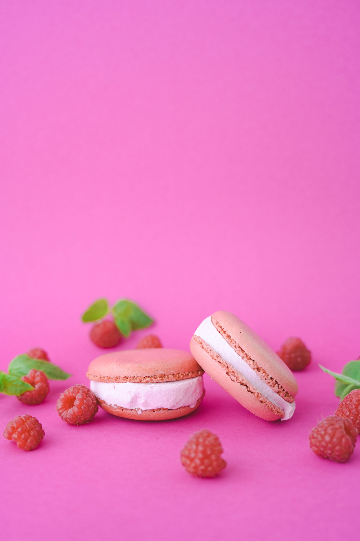 Siili Macaron-jäätelö vadelma ja litsi 130g