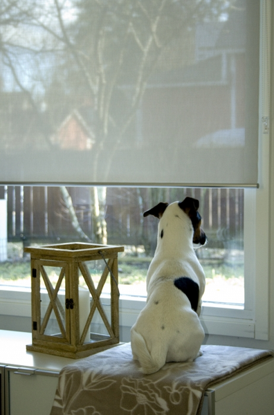 Ihanin Screen rullaverho vaaleanharmaa 120x170cm