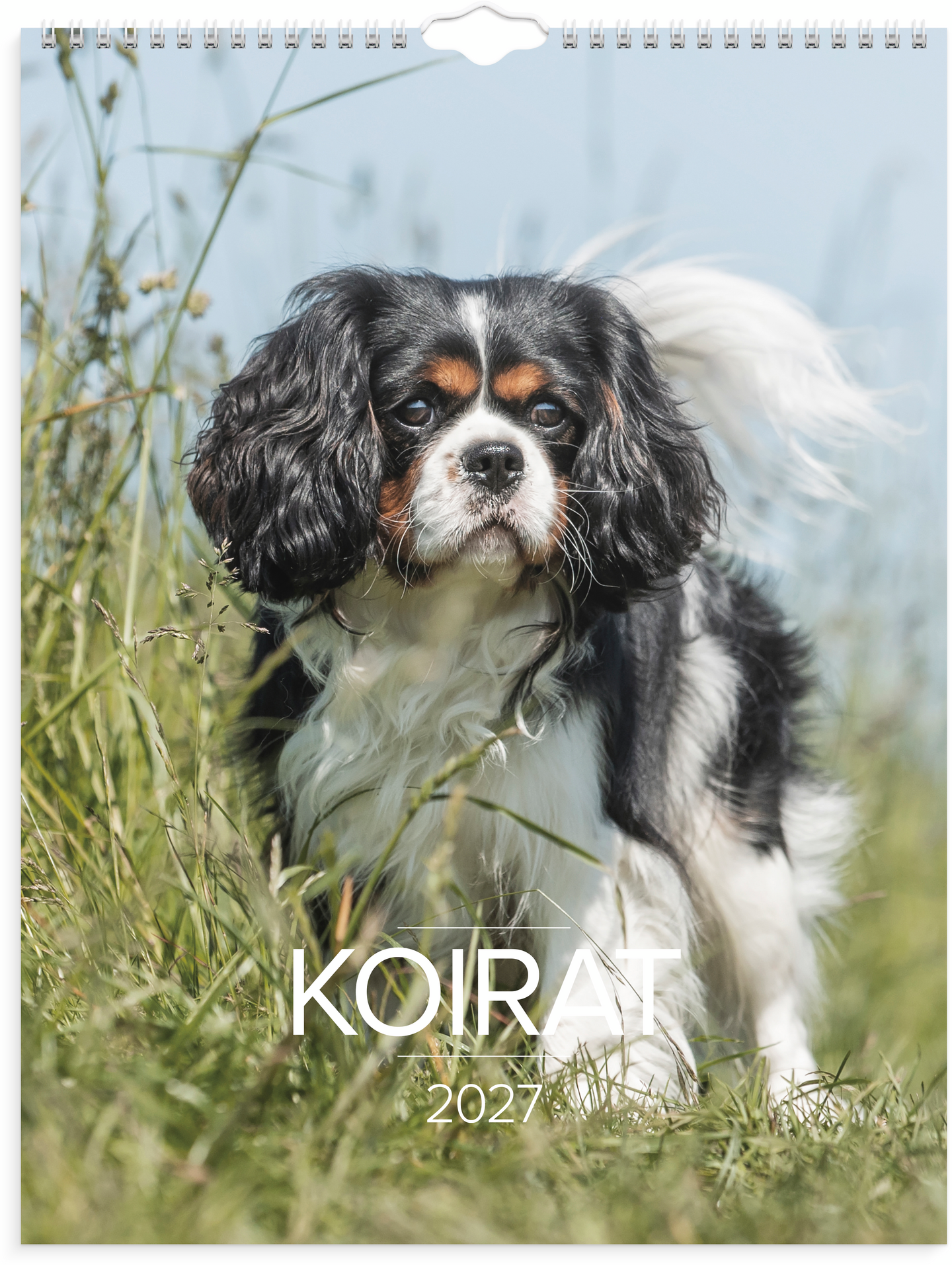 Burde Seinäkalenteri 2027 Koirat