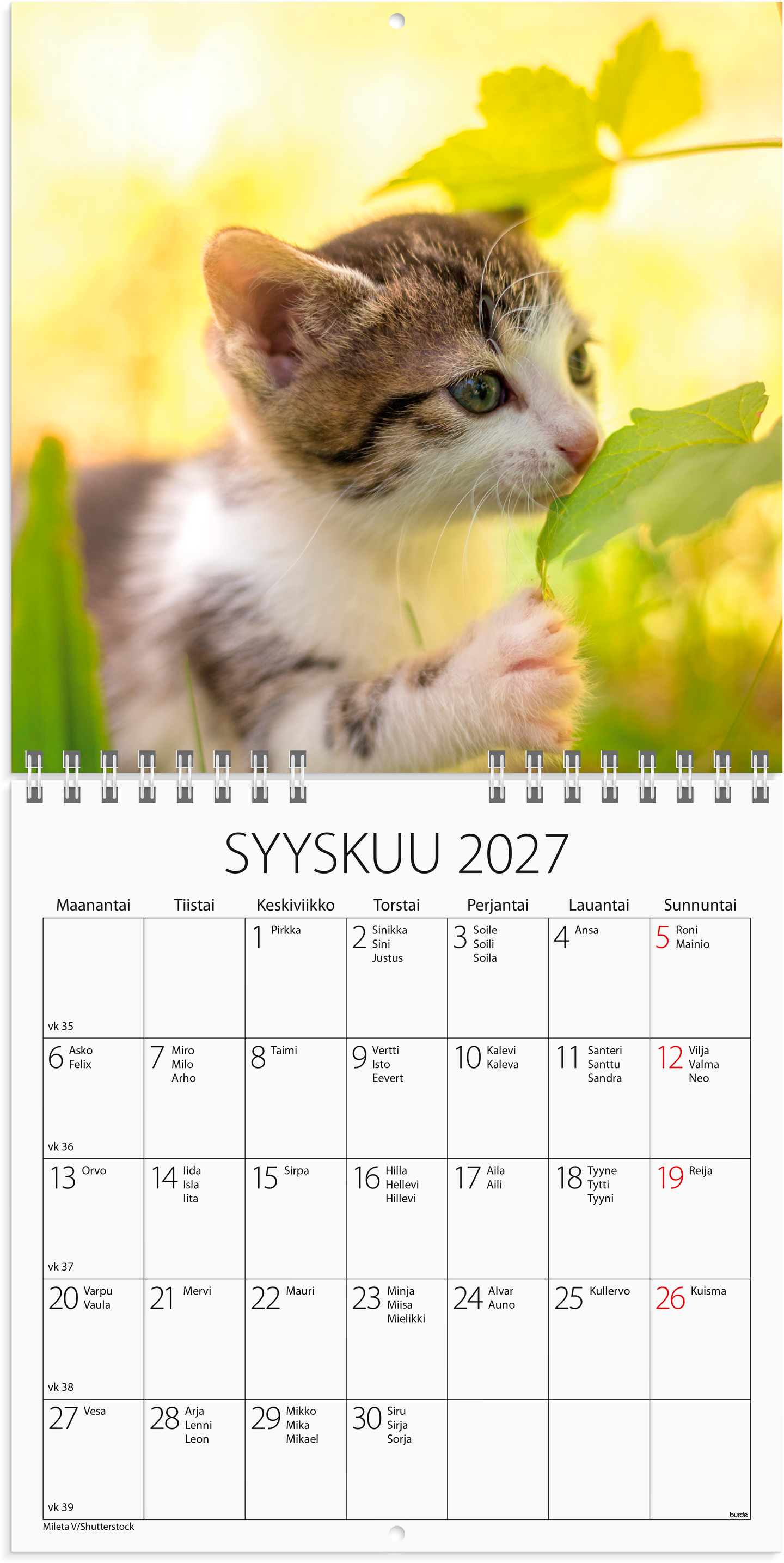 Burde Seinäkalenteri 2027 Kissanpennut