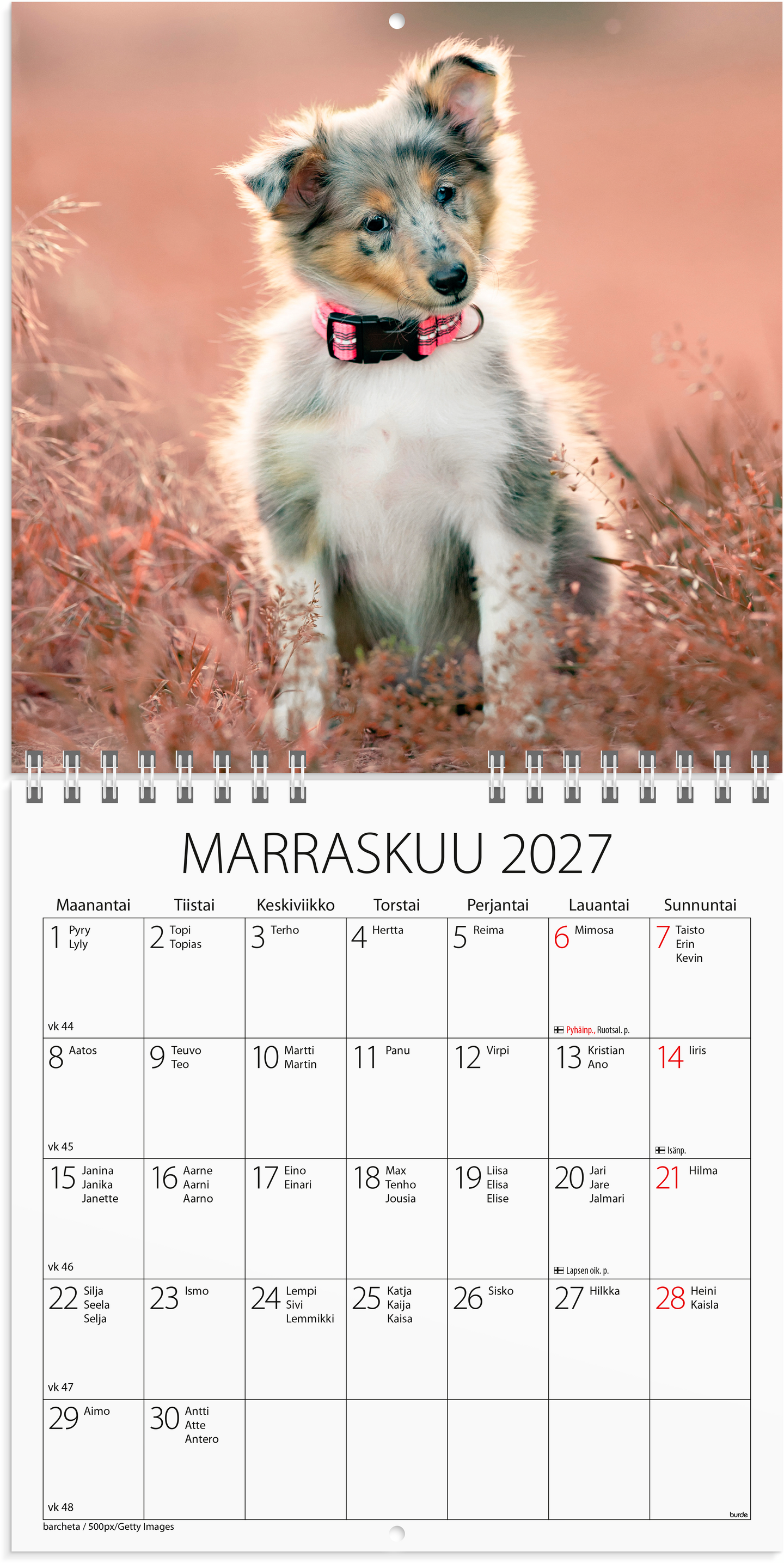 Burde Seinäkalenteri 2027 Koiranpennut