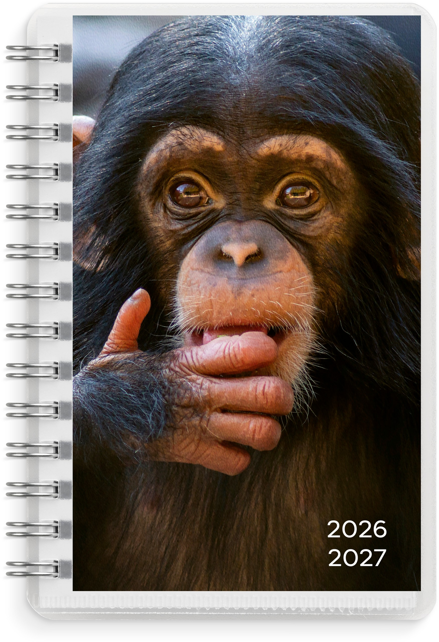Burde kalenteri Compact Pets 26/27