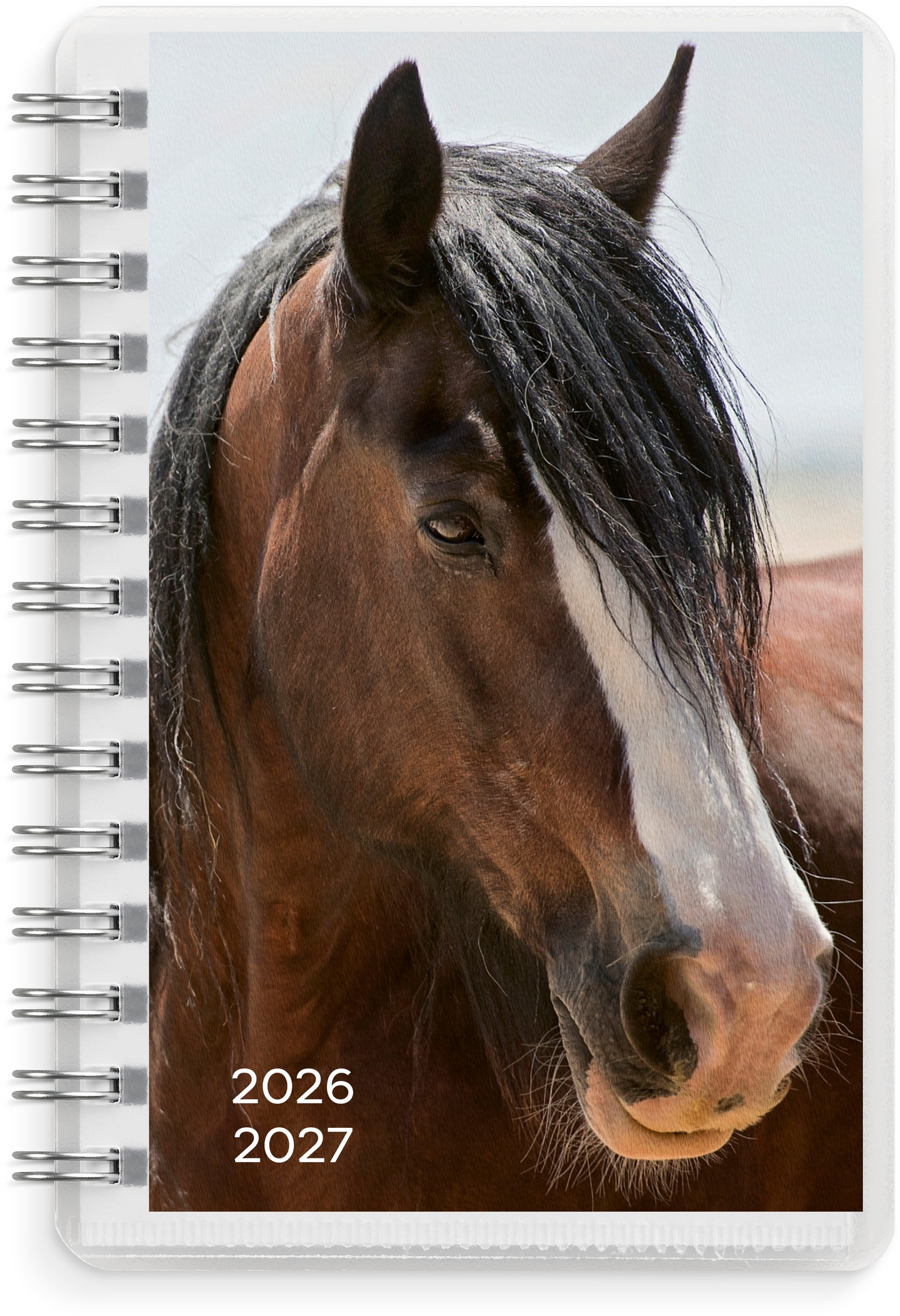 Burde kalenteri Compact Pets 26/27