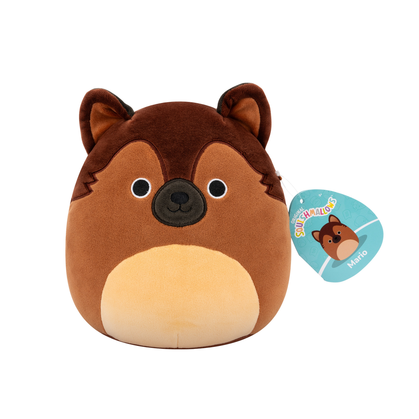 Squishmallows 19 cm P23 pehmo A ja B