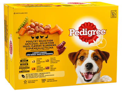 Pedigree 12x100g Adult kastikelajitelma kanaa, siipikarjaa, kalkkunaa ja ankkaa