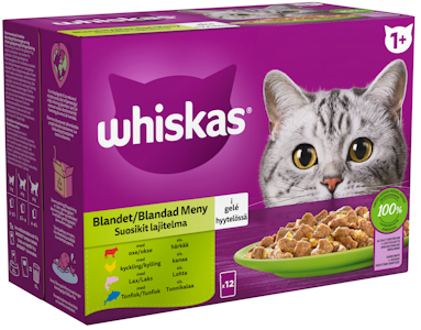 Whiskas 1+ suosikit lajitelma hyytelössä 12x85g