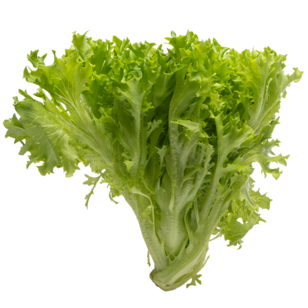 Varpion Friseesalaatti 130 g