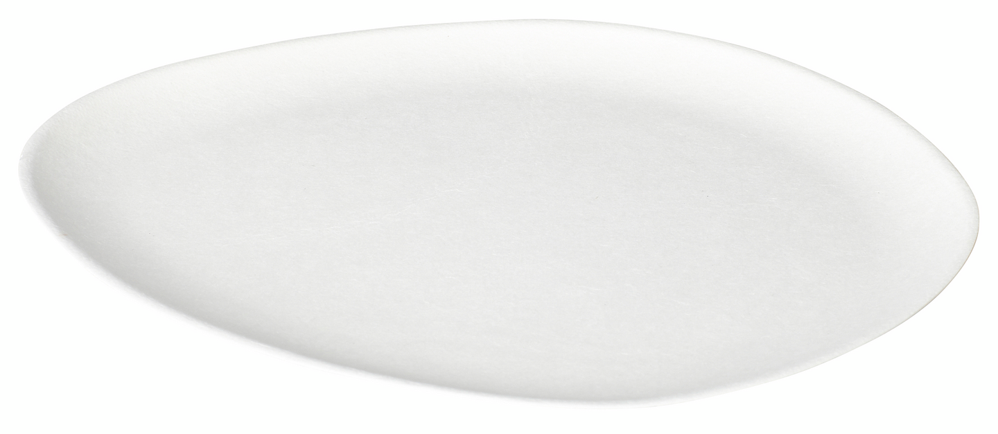 Duni bagassilautanen 27cm 10kpl valkoinen