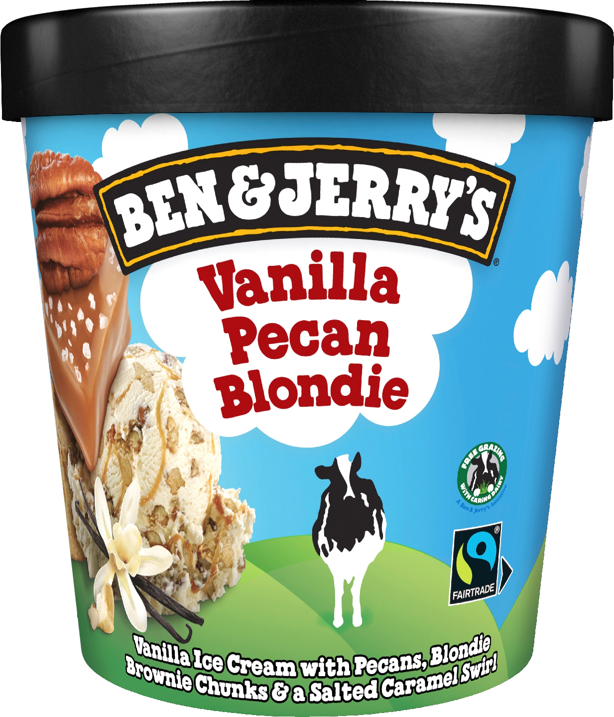 Ben & Jerry's Vanilla Pecan Blondie Jäätelö 465ml/414g