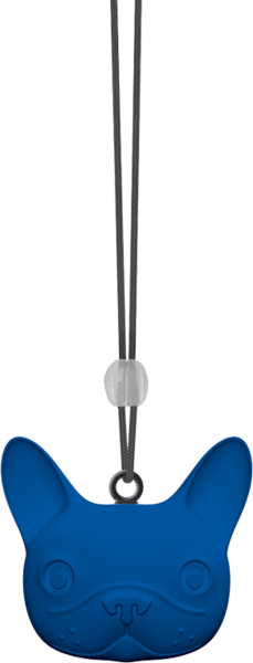 Dr Marcus Cosmic Dog hajuste