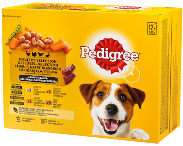 Pedigree 12x100g Adult kastikelajitelma kanaa, siipikarjaa, kalkkunaa ja ankkaa