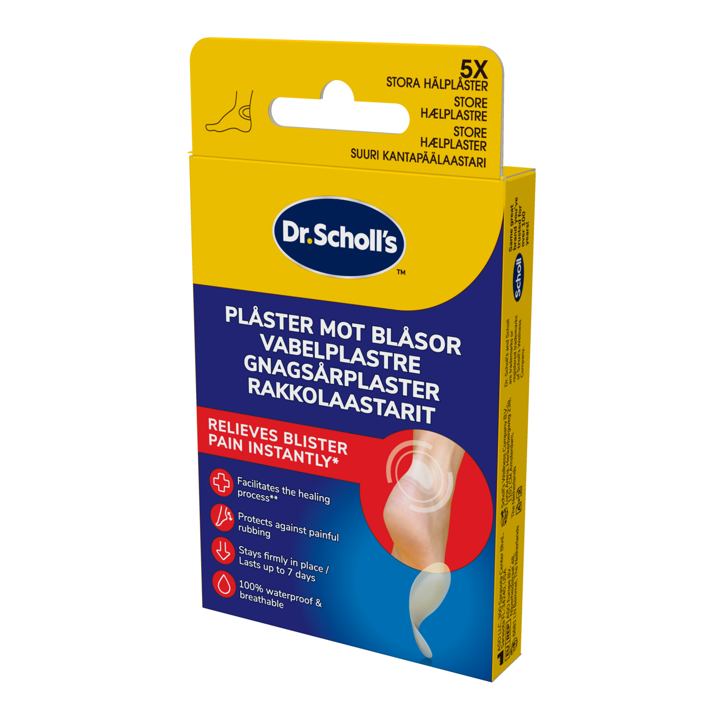 Scholl rakkolaastari kantapää 5kpl