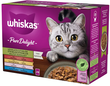 Whiskas 1+ Pure Delight valitut suikaleet hyytelössä 12x85g