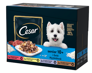 Cesar Senior annospussilajitelma hyytelössä 12x100g