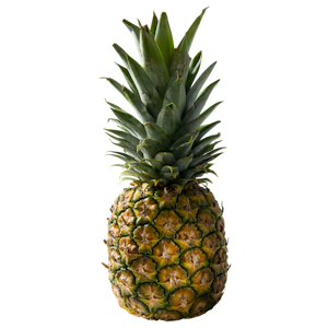 Ananas Kespro 11-13,5kg 1lk