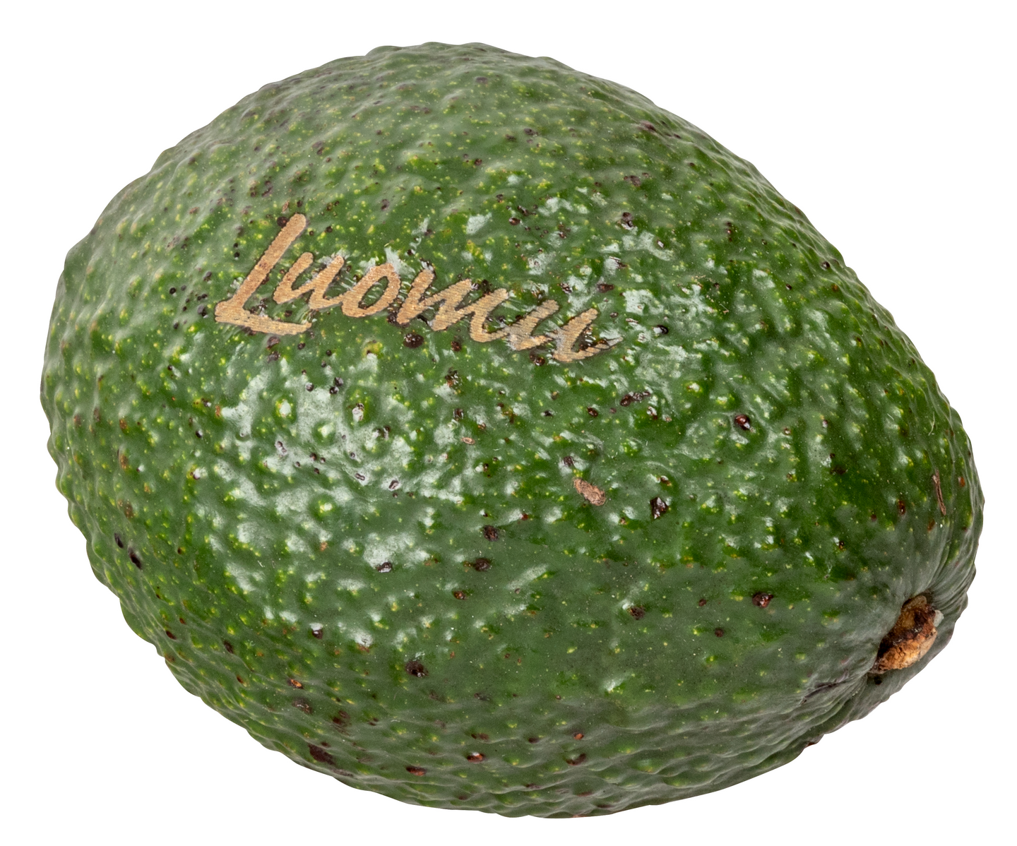 Avokado luomu