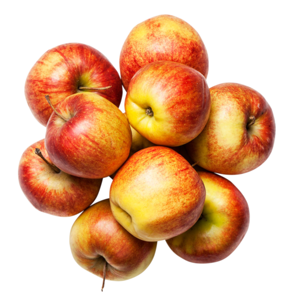 Omena monivärinen Kespro 12-15kg 1lk