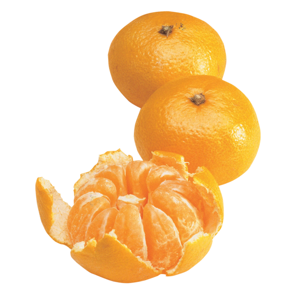 Satsuma luomu