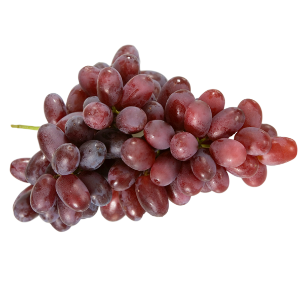 Rypäle tumma siemenellinen