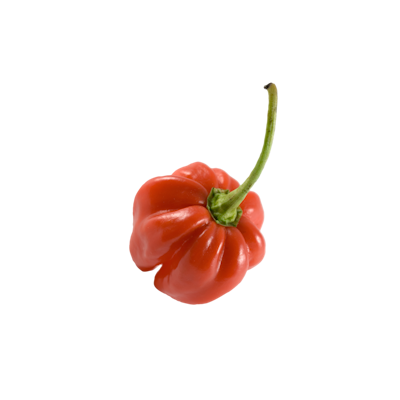 Chilipaprika Habanero