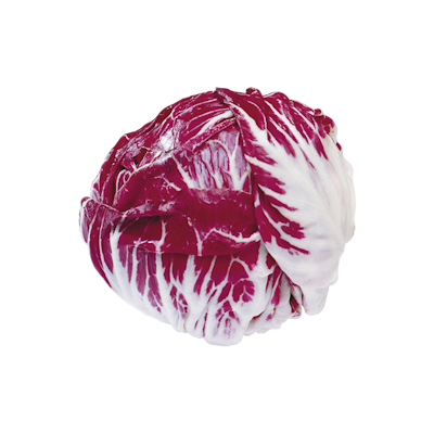 Punasalaatti (punasikuri) ulkomainen