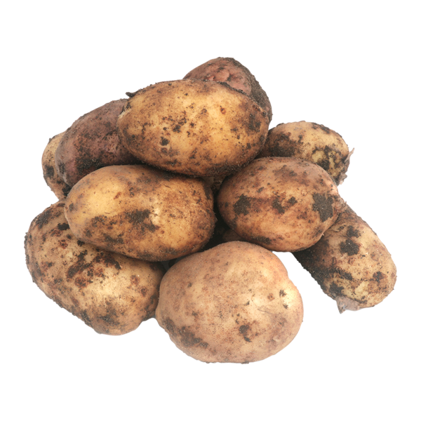 Varhaisperuna multainen Suomi