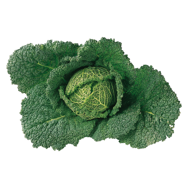 Savoijinkaali luomu Suomi