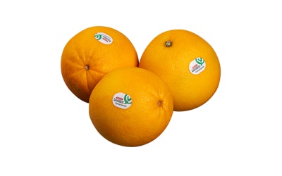 Pirkka Luomu appelsiini - kuva