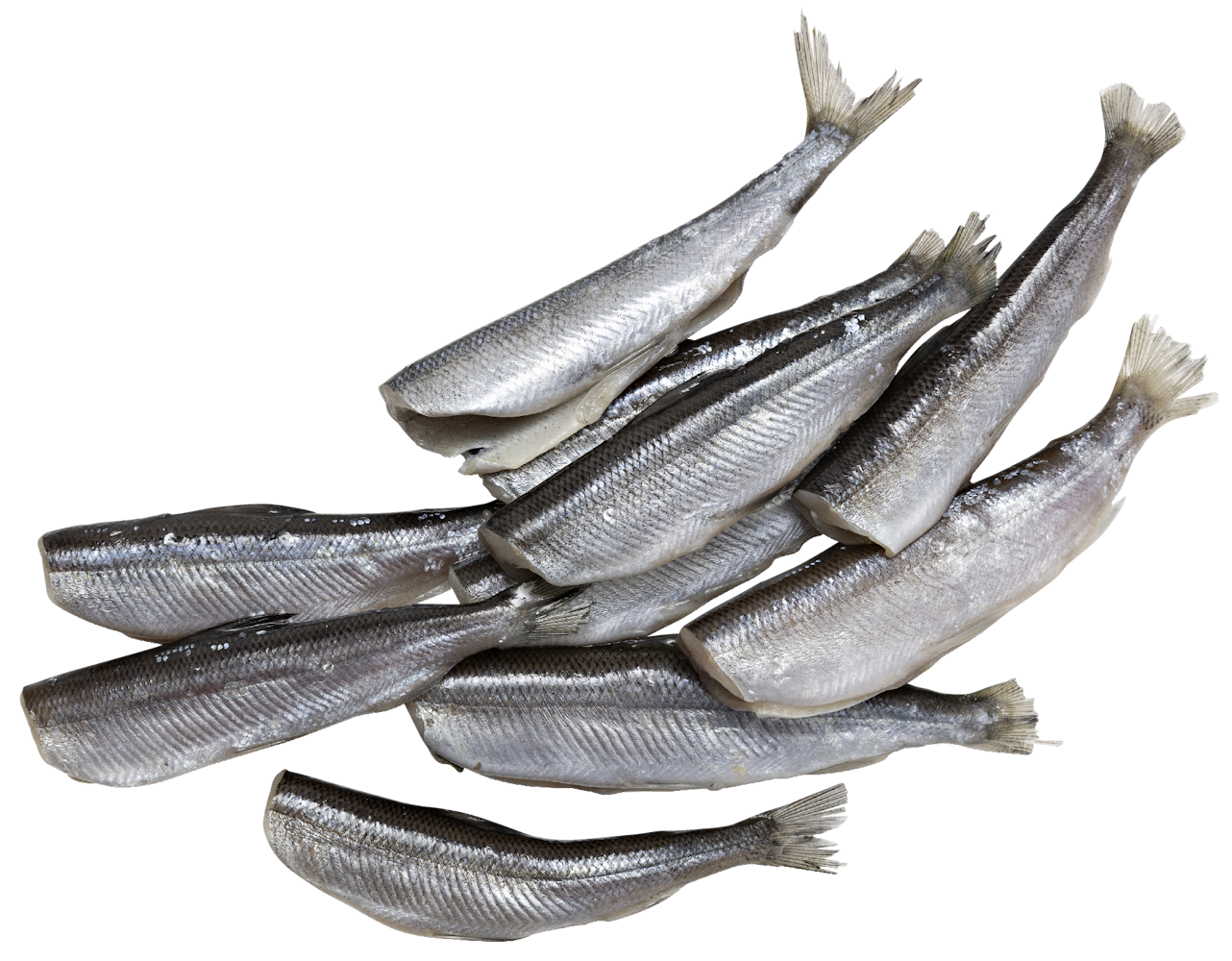 Eriksson muikku perattu n. 1kg pakaste - HoReCa-tukku Kespro