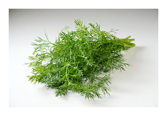 Tuore tilli 1kg ES/IT/DE/SE 1lk