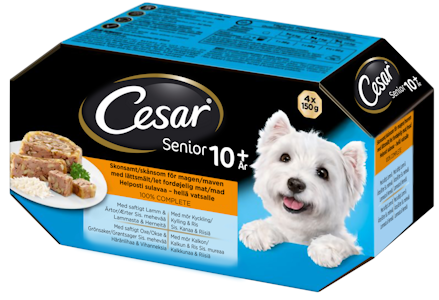 Cesar Senior hyytelölajitelma 4x150g