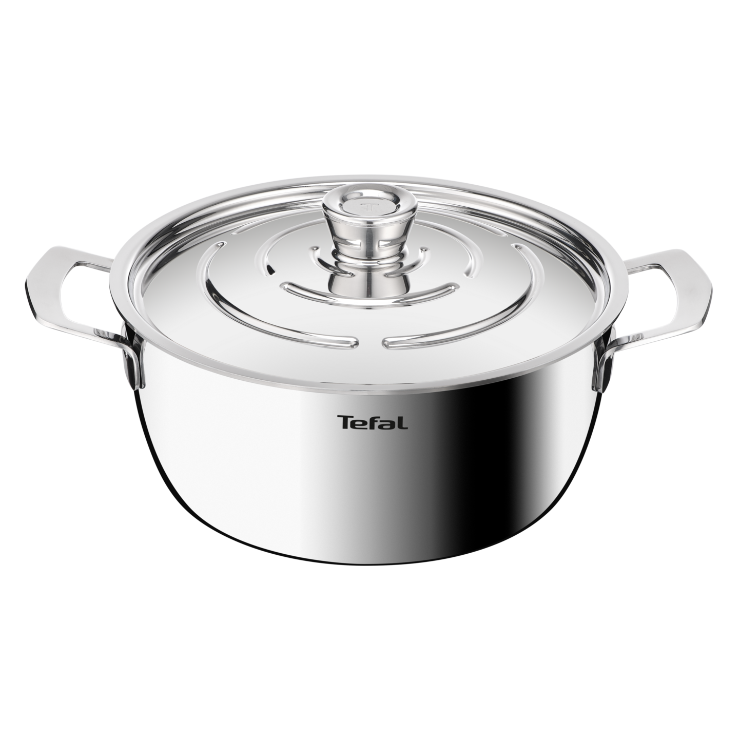 Tefal Emotion Plus kattila 24 cm/4,4 l