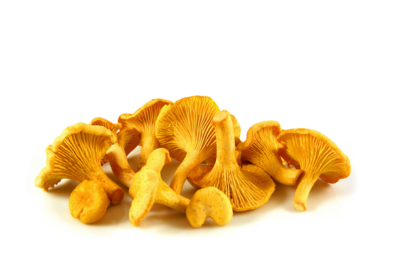 Multicatering kantarelli 3-5cm 1kg pakaste