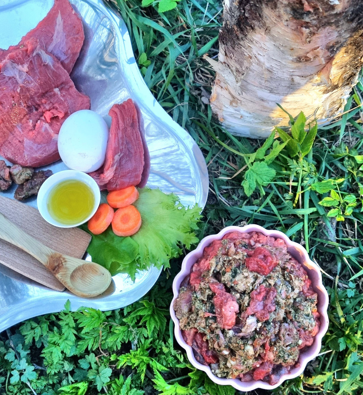 Huippu täysravinto lammas, nauta ja kasvis 800g raakaruoka lemmikeille