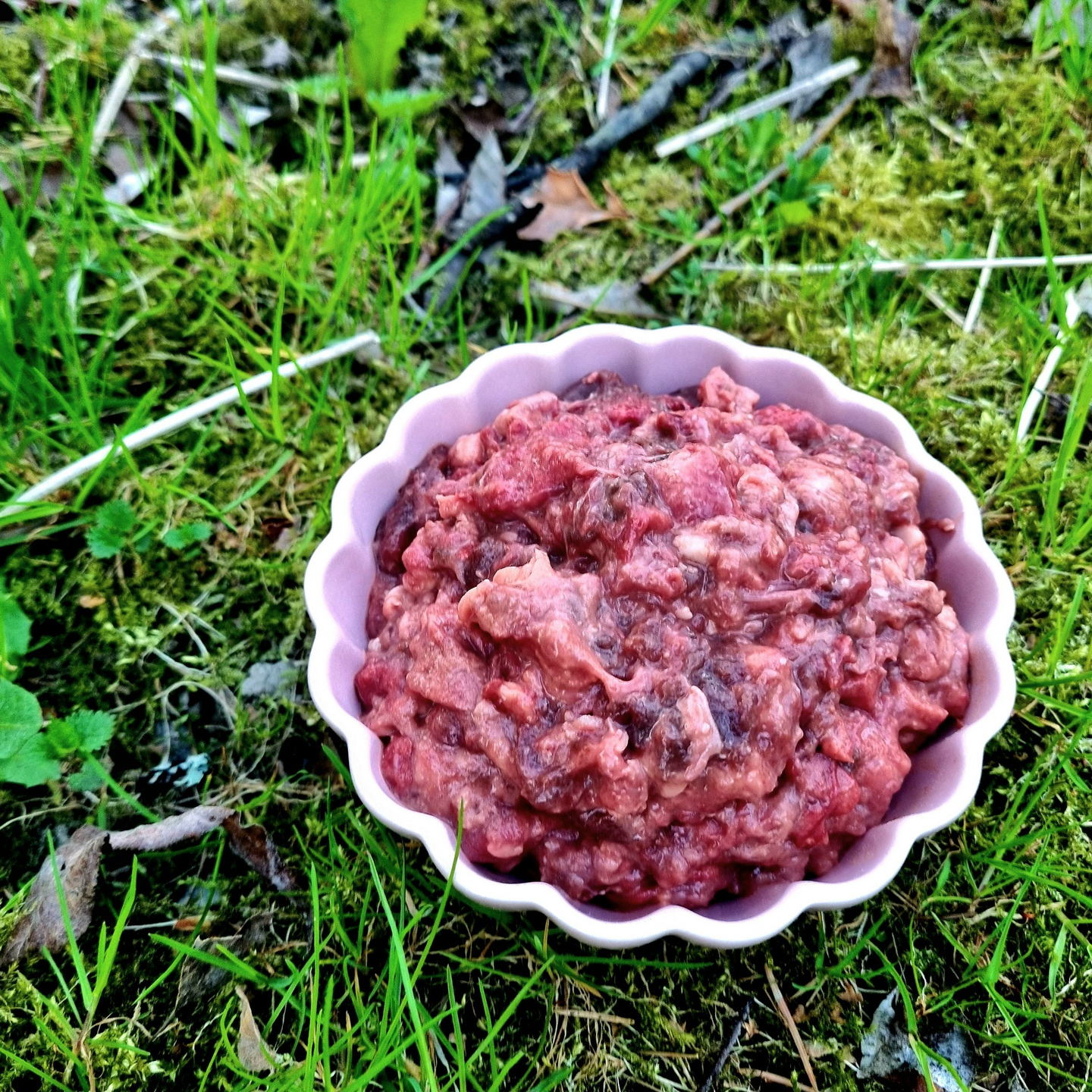 Huippu vapaana laiduntavan lampaan jauheliha 800g raakaruoka lemmikeille