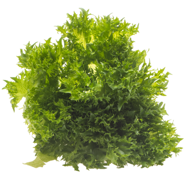 Varpion Jääsalaatti 130 g